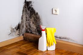 Best Mold Removal for HVAC Installations  in Valley Falls, SC